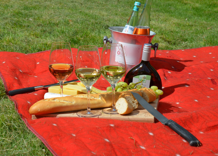 picnic3